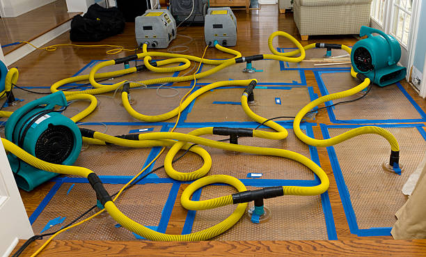 Professional Flood Damage Restoration technician working in Corder, MO